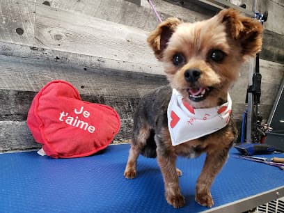 Toilettage Woof-Woof et